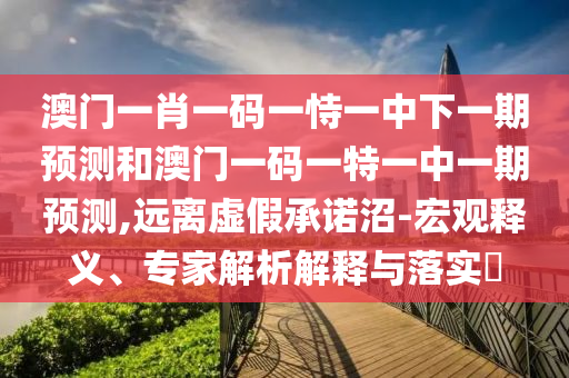 澳門一肖一碼一恃一中下一期預測和澳門一碼一特一中一期預測,遠離虛假承諾沼-宏觀釋義、專家解析解釋與落實?