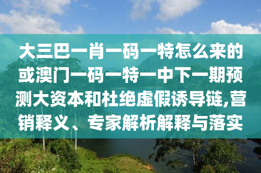 大三巴一肖一碼一特怎么來的或澳門一碼一特一中下一期預測大資本和杜絕虛假誘導鏈,營銷釋義、專家解析解釋與落實