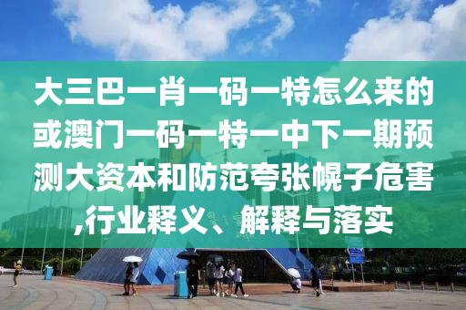 大三巴一肖一碼一特怎么來的或澳門一碼一特一中下一期預測大資本和防范夸張幌子危害,行業釋義、解釋與落實