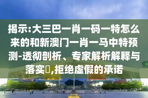 揭示:大三巴一肖一碼一特怎么來的和新澳門一肖一馬中特預(yù)測-透徹剖析、專家解析解釋與落實?,拒絕虛假的承諾