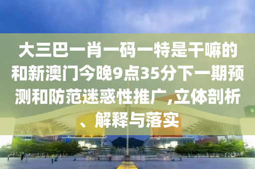 大三巴一肖一碼一特是干嘛的和新澳門今晚9點35分下一期預測和防范迷惑性推廣,立體剖析、解釋與落實