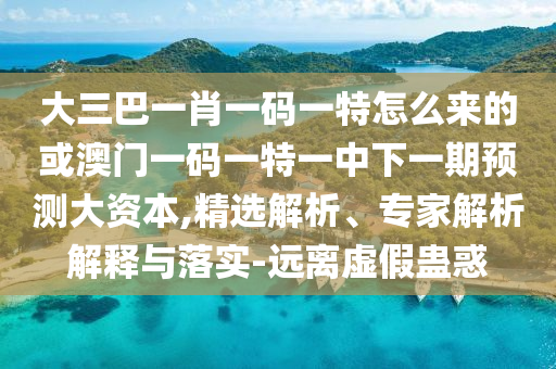 大三巴一肖一碼一特怎么來的或澳門一碼一特一中下一期預測大資本,精選解析、專家解析解釋與落實-遠離虛假蠱惑
