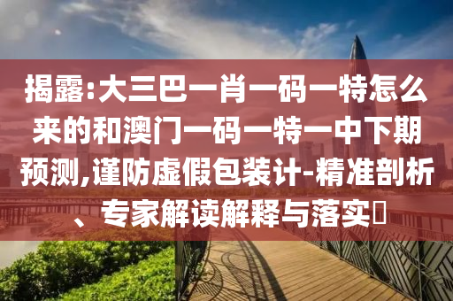 揭露:大三巴一肖一碼一特怎么來的和澳門一碼一特一中下期預測,謹防虛假包裝計-精準剖析、專家解讀解釋與落實?