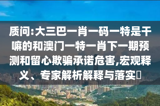 質問:大三巴一肖一碼一特是干嘛的和澳門一特一肖下一期預測和留心欺騙承諾危害,宏觀釋義、專家解析解釋與落實?