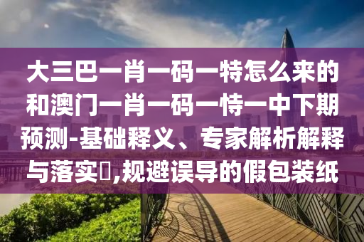 大三巴一肖一碼一特怎么來的和澳門一肖一碼一恃一中下期預(yù)測-基礎(chǔ)釋義、專家解析解釋與落實?,規(guī)避誤導(dǎo)的假包裝紙