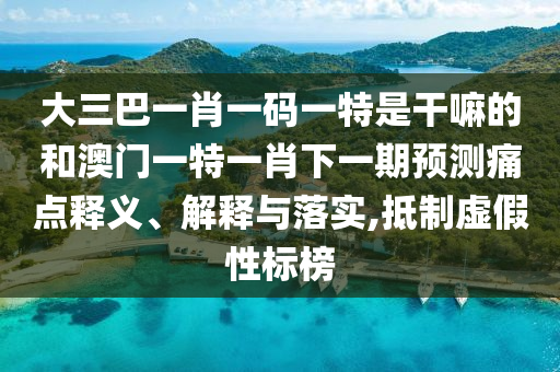 大三巴一肖一碼一特是干嘛的和澳門一特一肖下一期預測痛點釋義、解釋與落實,抵制虛假性標榜