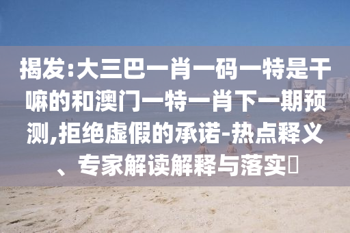 揭發(fā):大三巴一肖一碼一特是干嘛的和澳門一特一肖下一期預測,拒絕虛假的承諾-熱點釋義、專家解讀解釋與落實?