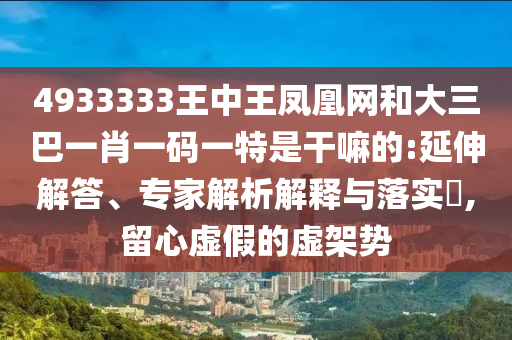 4933333王中王鳳凰網(wǎng)和大三巴一肖一碼一特是干嘛的:延伸解答、專家解析解釋與落實?,留心虛假的虛架勢