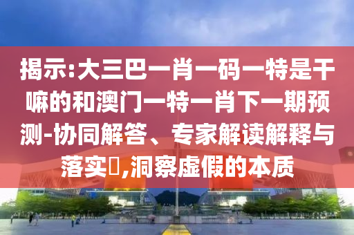 揭示:大三巴一肖一碼一特是干嘛的和澳門一特一肖下一期預測-協同解答、專家解讀解釋與落實?,洞察虛假的本質